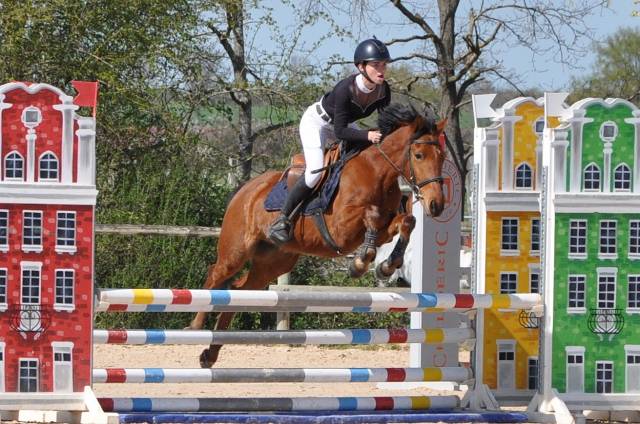 Cavalla New Forest In vendita 2021 Baio ,  LENNICHA DE FLORYS, PFS