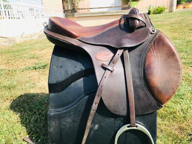 Sella sanza arcione  Evolution 16" - 2015