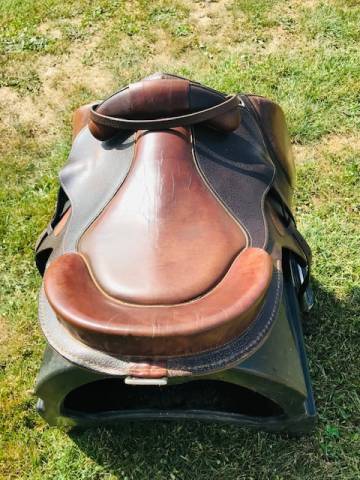 Sella sanza arcione  Evolution 16" - 2015