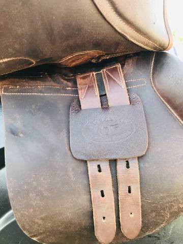 Sella sanza arcione  Evolution 16" - 2015