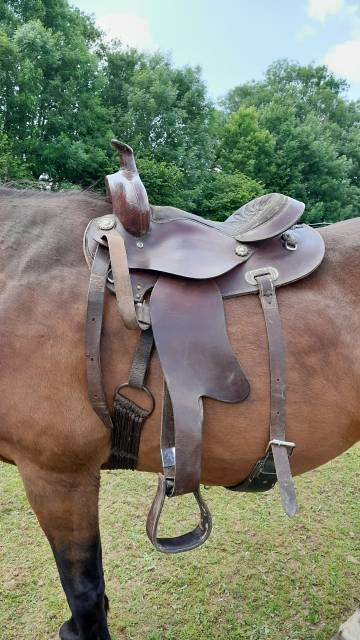 Sella western   16" - 2015
