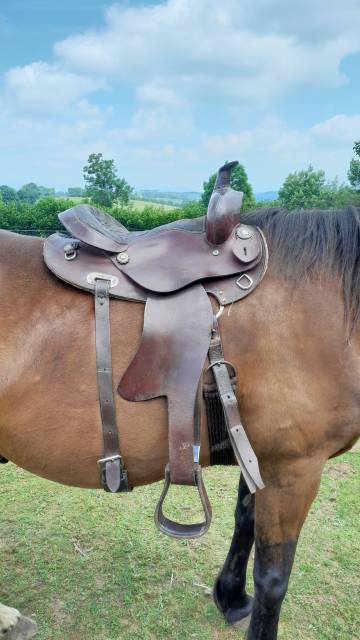 Sella western   16" - 2015