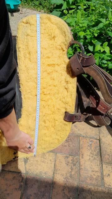 Sella western   16" - 2015