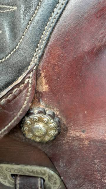 Sella western   16" - 2015