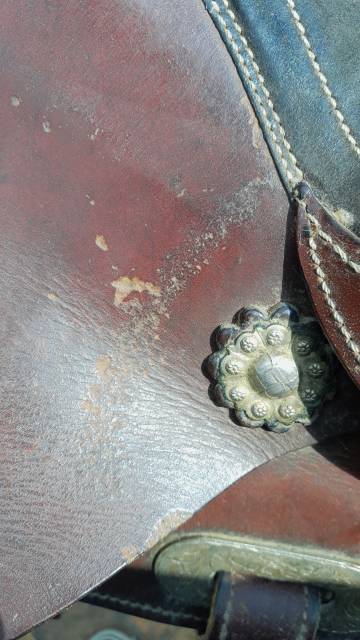 Sella western   16" - 2015