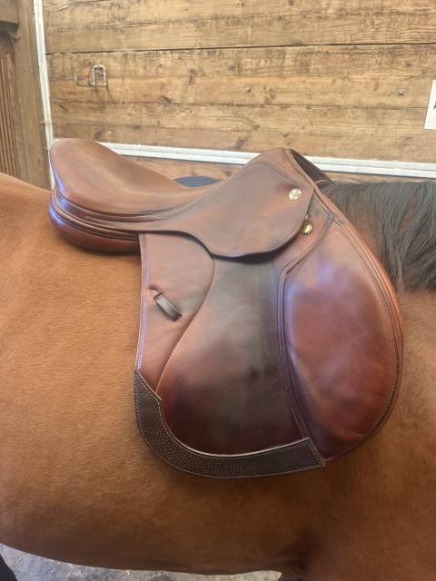 Sella mista Prestige Italia  17" - 2004