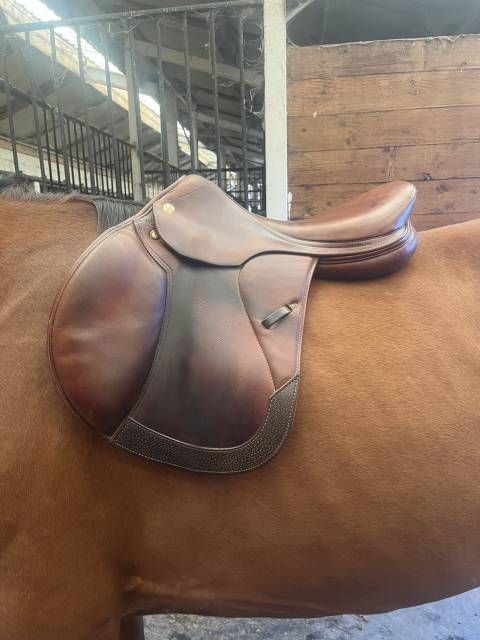 Sella mista Prestige Italia  17" - 2004