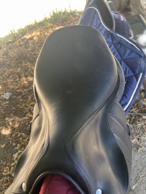 Sella da salto ostacoli Forestier  17.5" - 2021