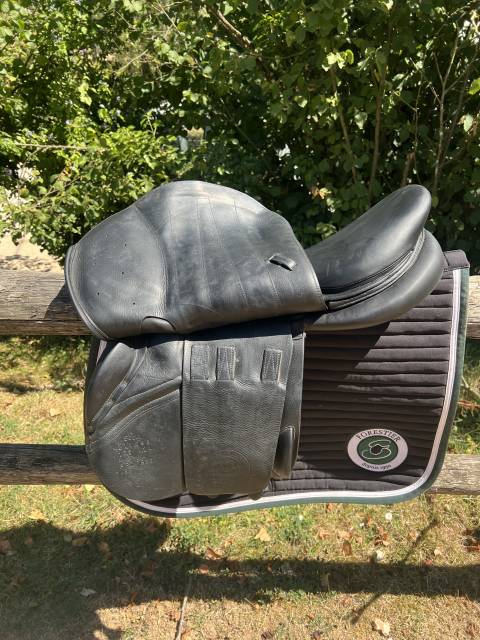 Sella da salto ostacoli Forestier  17.5" - 2021