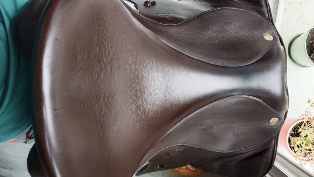 Sella mista Fairfax  18" - 2022