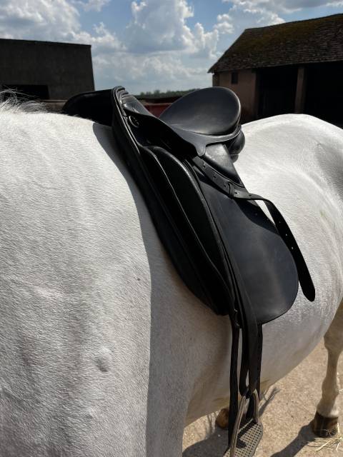 Sella da dressage Kieffer  17.5" - 2010