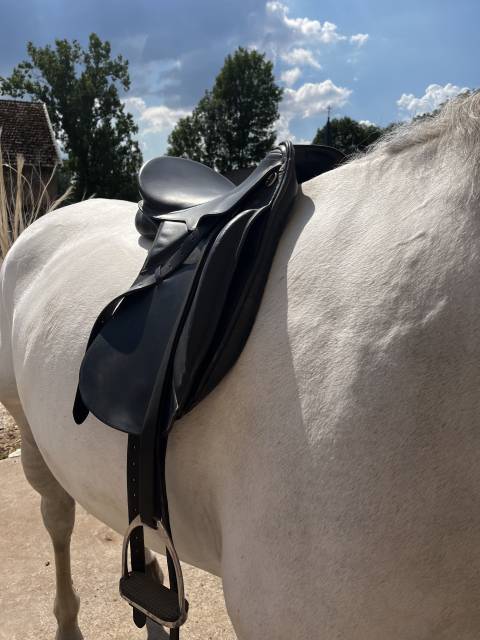 Sella da dressage Kieffer  17.5" - 2010