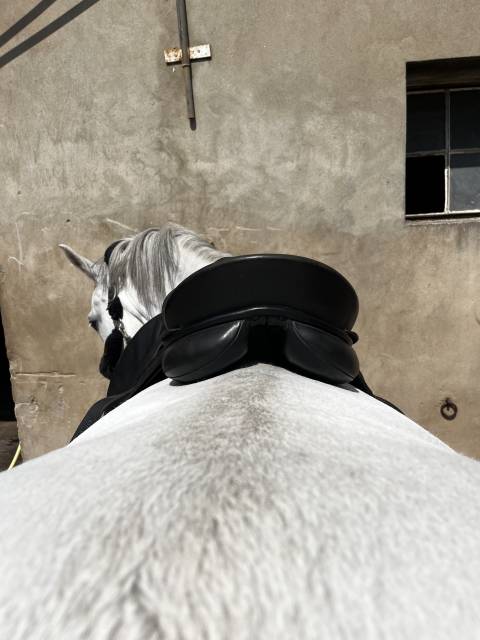 Sella da dressage Kieffer  17.5" - 2010