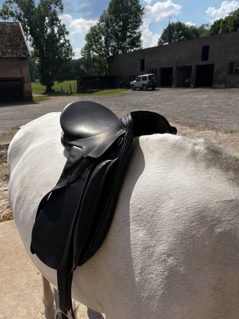 Sella da dressage Kieffer  17.5" - 2010