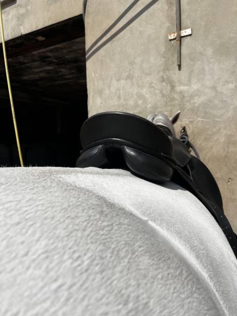 Sella da dressage Kieffer  17.5" - 2010