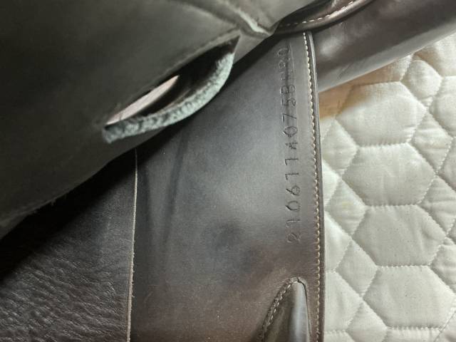 Sella da salto ostacoli Erreplus JD 17" - 2021