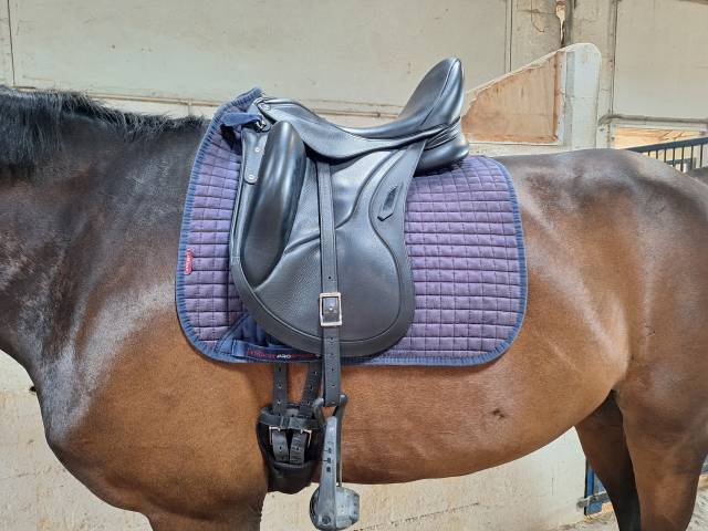 Sella da dressage Aviar  17" - 2024