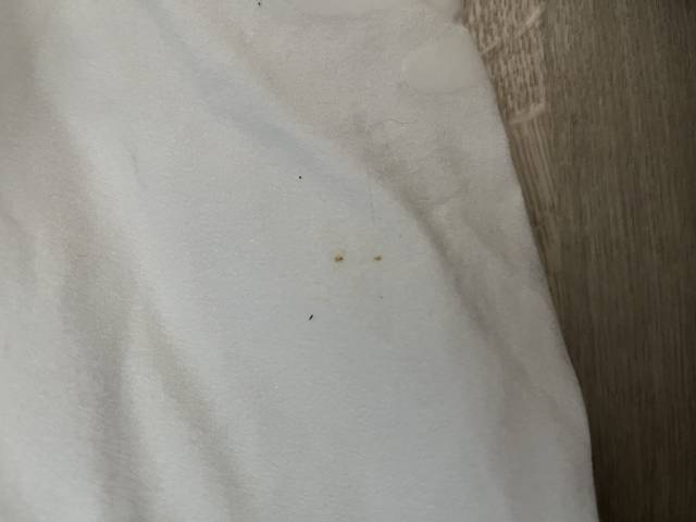  Flags and Cup Occasione