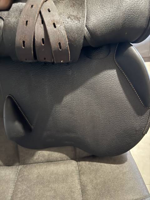 Sella da salto ostacoli Equipe  17.5" - 2018