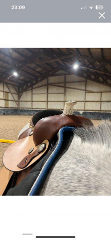 Sella western   17.5" - 2021