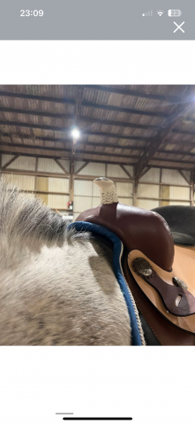 Sella western   17.5" - 2021