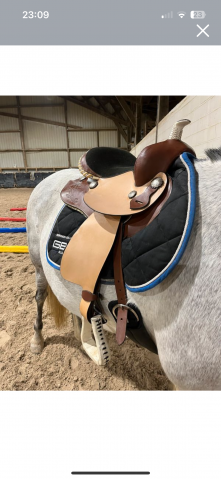 Sella western   17.5" - 2021