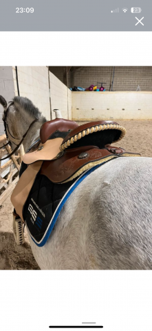 Sella western   17.5" - 2021