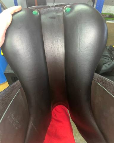 Sella da salto ostacoli Equipe  17" - 2020