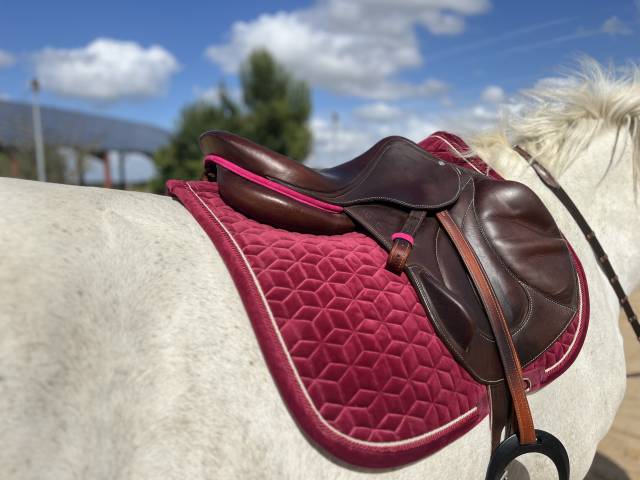 Sella da cross Antarès  17" - 2015