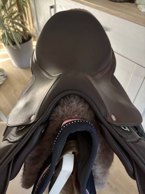 Sella da salto ostacoli Antarès  17" - 2024