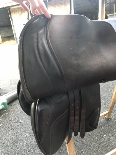 Sella da salto ostacoli   19" - 2020