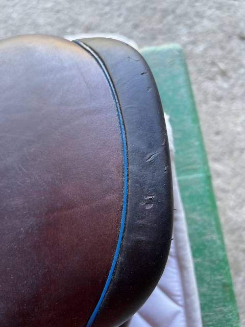 Sella da salto ostacoli CWD  16.5" - 2022