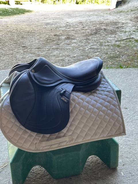 Sella da salto ostacoli CWD  16.5" - 2022