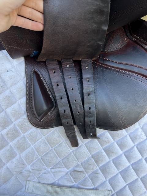 Sella da salto ostacoli CWD  16.5" - 2022