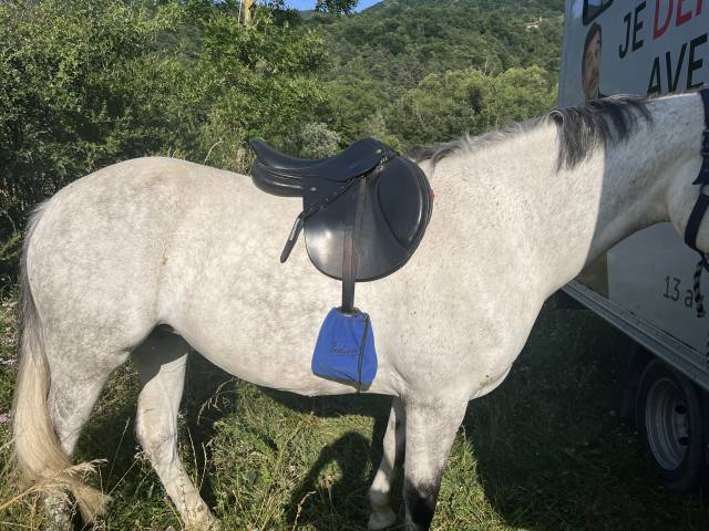 Altra sella Mondange Cso 17" - 2021