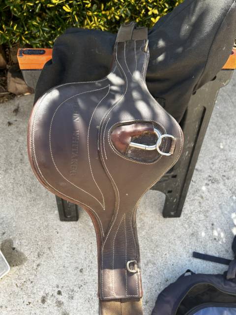  John Whitaker Occasione