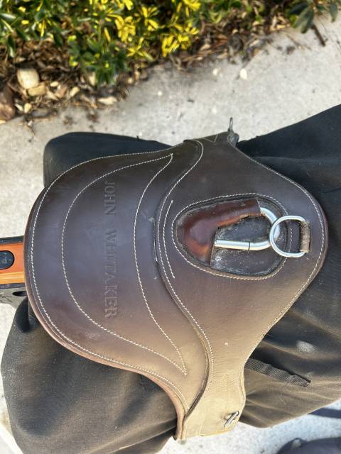  John Whitaker Occasione