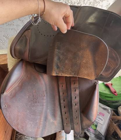 Sella da salto ostacoli Delgrange  17" - 2020