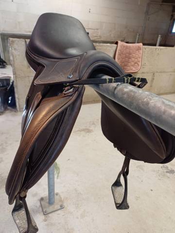 Sella mista Ikonic  17" - 2024