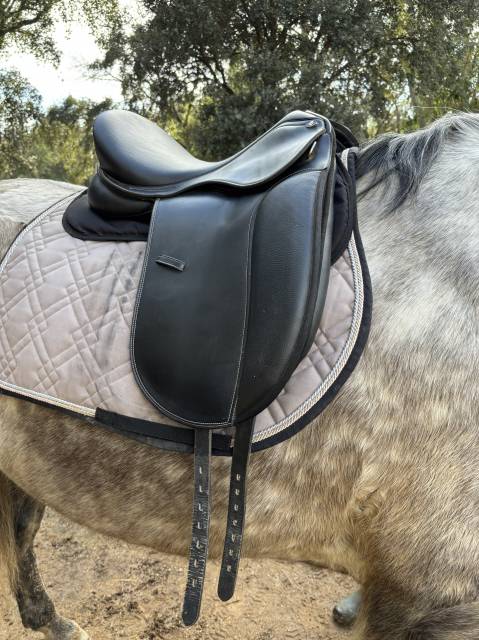 Sella da dressage  Waldhausen  17.5" - 2023
