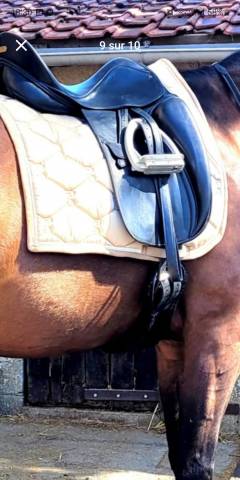 Sella da dressage Zaldi  17" - 2015
