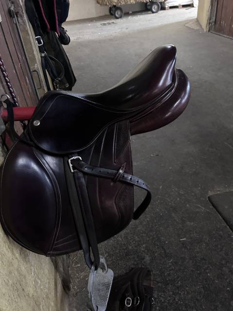 Sella da salto ostacoli   16.5" - 2015