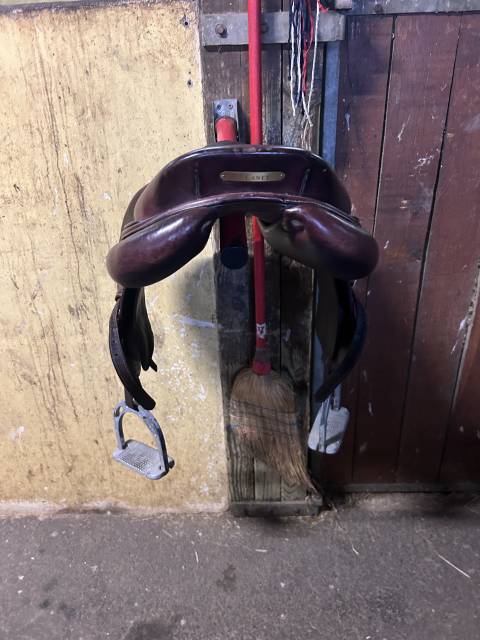 Sella da salto ostacoli   16.5" - 2015