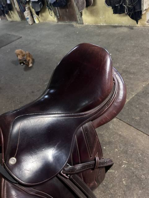 Sella da salto ostacoli   16.5" - 2015