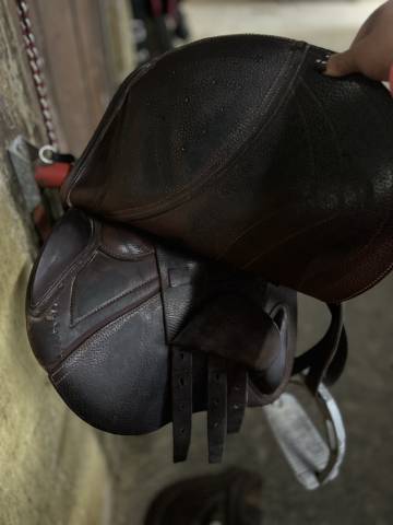 Sella da salto ostacoli   16.5" - 2015