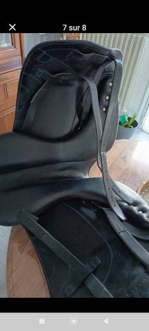 Sella da dressage Antarès  17" - 2019