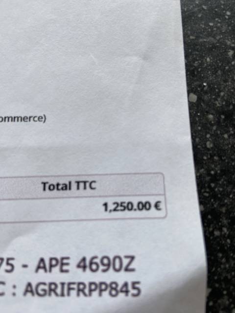 Sella Junior / Sella Pony KENT & MASTERS  16.5" - 2023