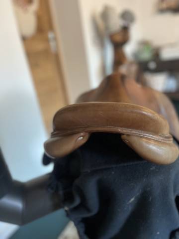 Sella da salto ostacoli Antarès  16.5" - 2018