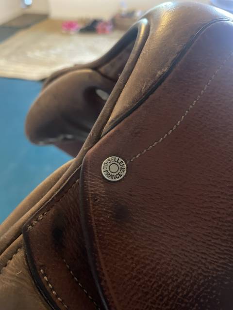 Sella da salto ostacoli Antarès  16.5" - 2018