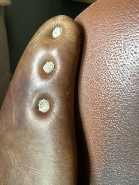 Sella da salto ostacoli Antarès  16.5" - 2018